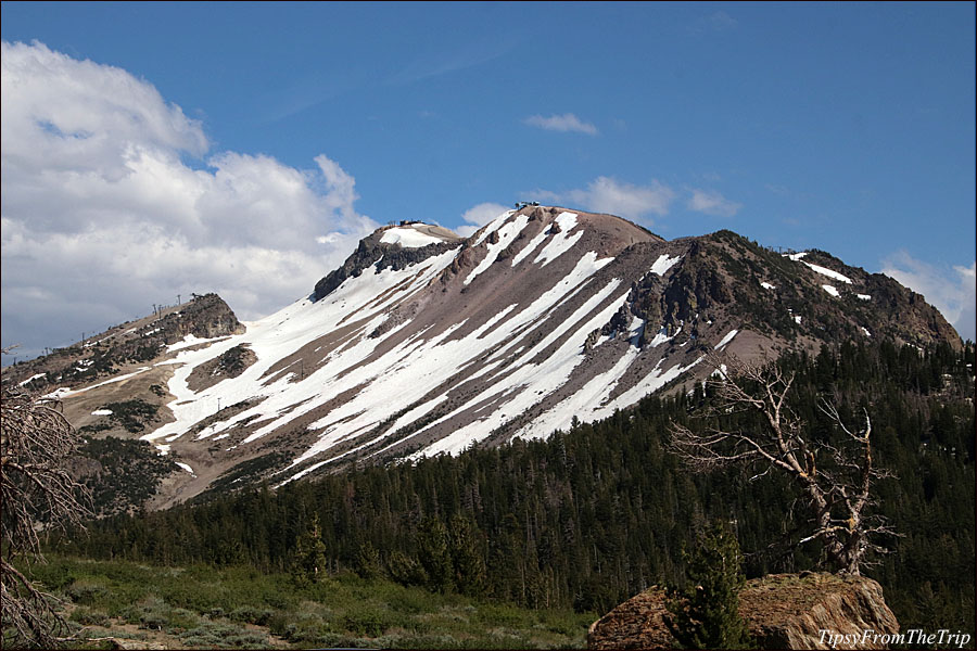 Mammoth Mountain 