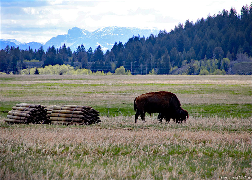 Grand Teton National Park 