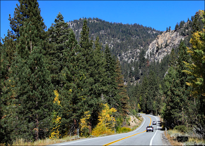 Carson Pass Highway