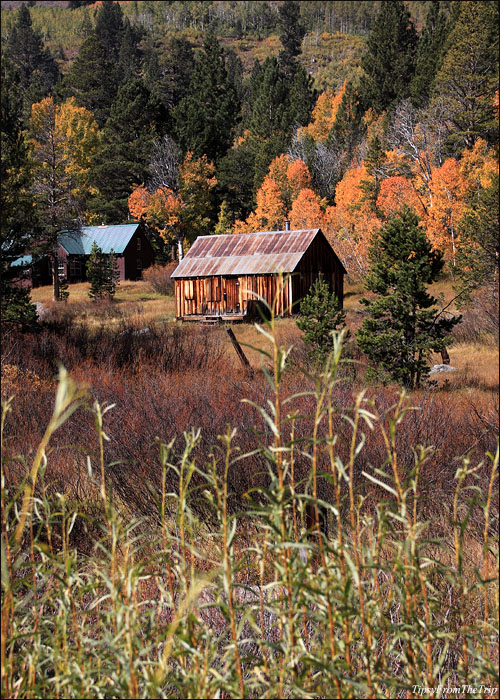 Fall colors along CASR 88 - Hope Valley 