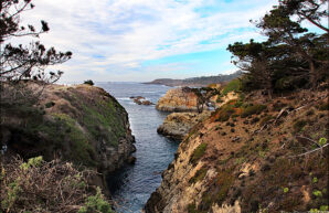 Point Lobos State Natural Reserve