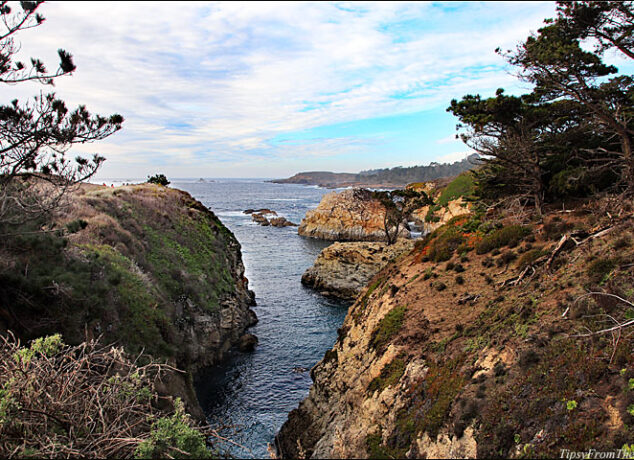 Point Lobos State Natural Reserve