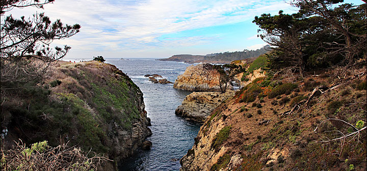 Point Lobos State Natural Reserve