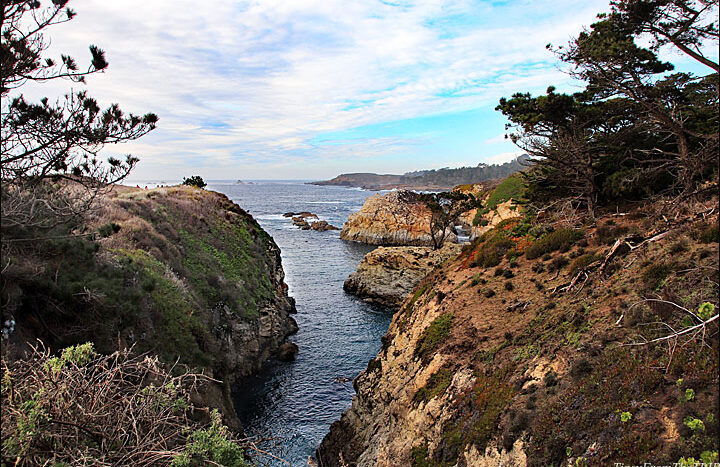 Point Lobos State Natural Reserve