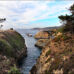 Point Lobos State Natural Reserve