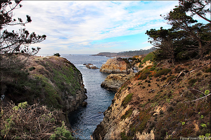 Point Lobos State Natural Reserve, CA 