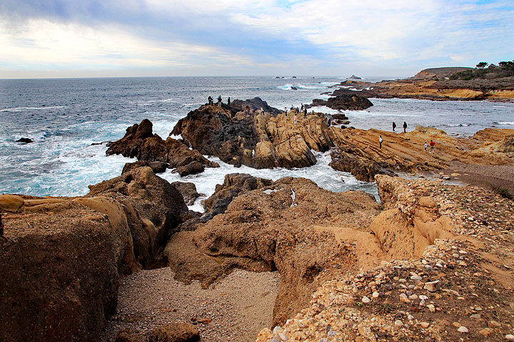 Point Lobos State Natural Reserve, California 