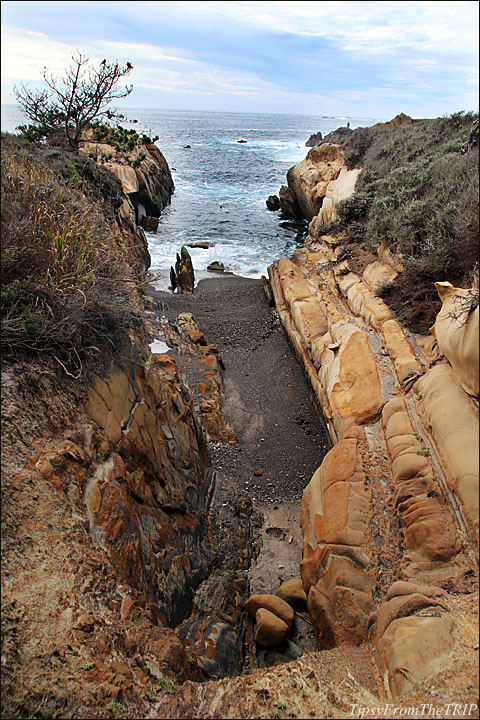 Rugged California Central Coast 