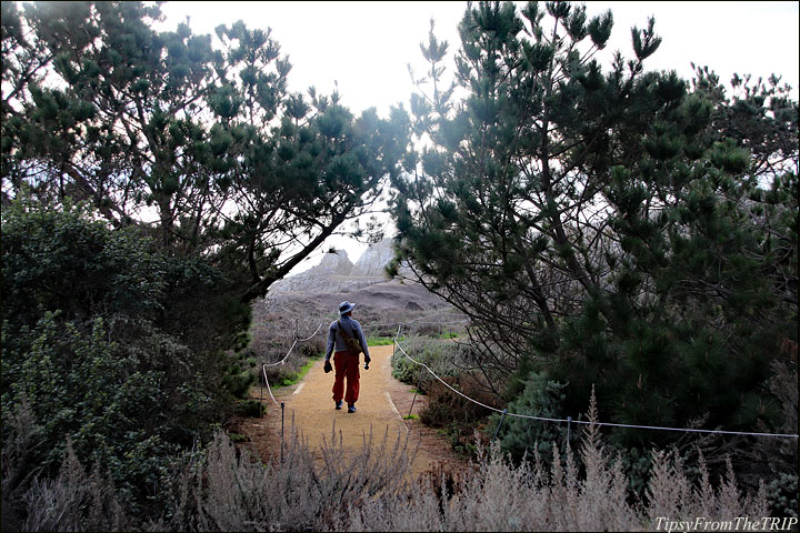 Bird Island Trail, Point Lobos State Natural Reserve