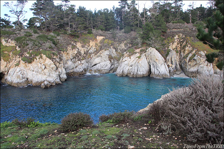 Another view from Bird Island Trail 