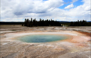 Yellowstone National Park is the Ultimate Feast for the Senses!