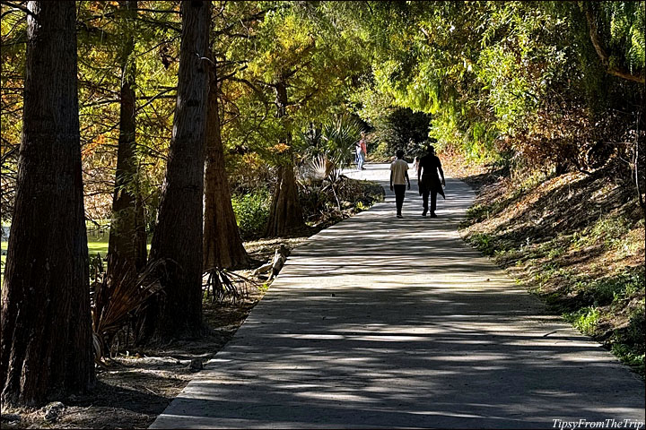 Niles Community Park Trail 