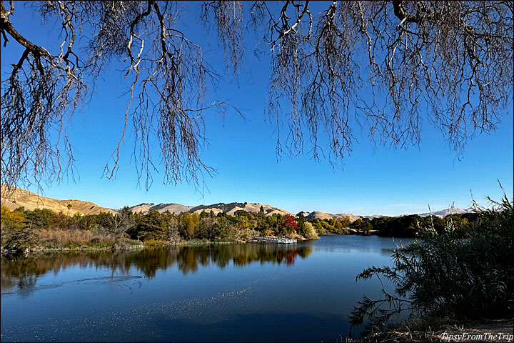 Grau Pond, Niles 