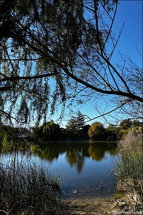 Niles Community Park - Grau Pond