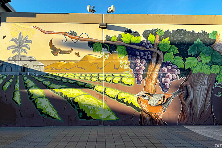Wine Country Mural, San Francisco Premium Outlets