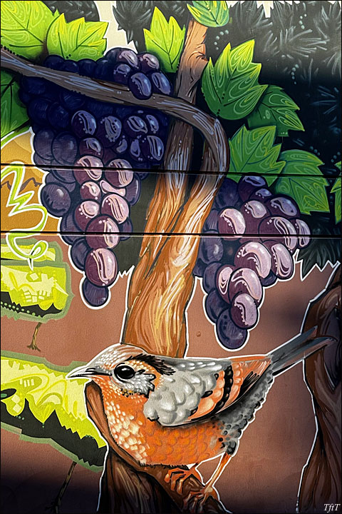 Livermore, California. 