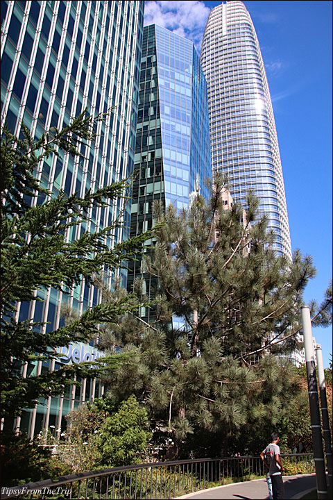 Salesforce Tower and its neighbors 