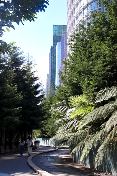 Rooftop Garden in San Francisco.