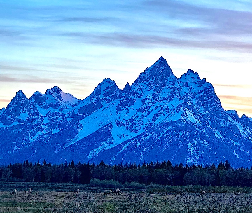 elk flats, GrandTetonNP