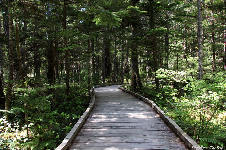 Sterling Munro Boardwalk