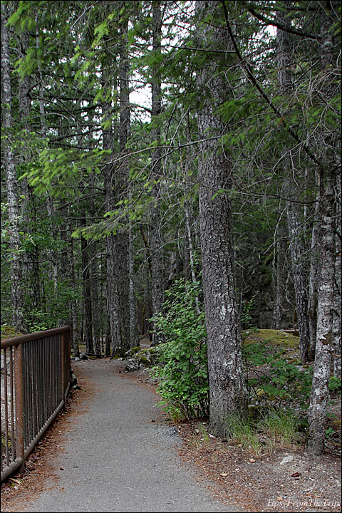 Gorge Creek Falls Trail 