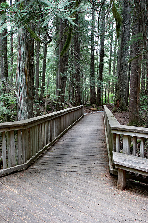 Happy Creek Boardwalk