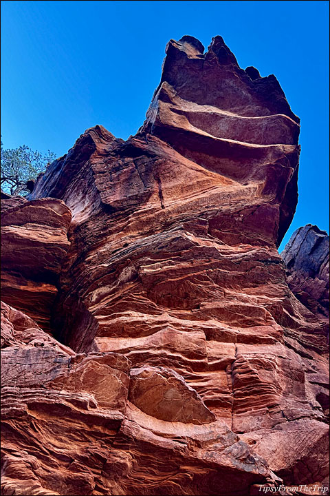 Red Rock Landscapes 
