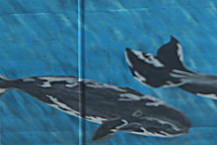 Whale Murals, Oregon