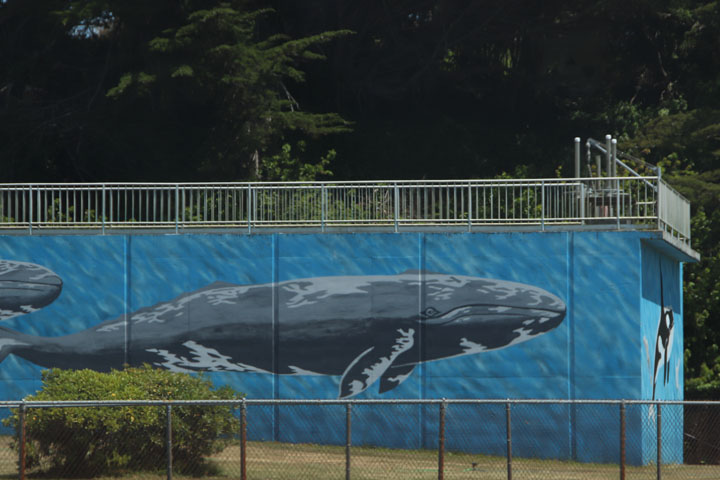 Ocean Mural, Bandon, OR 