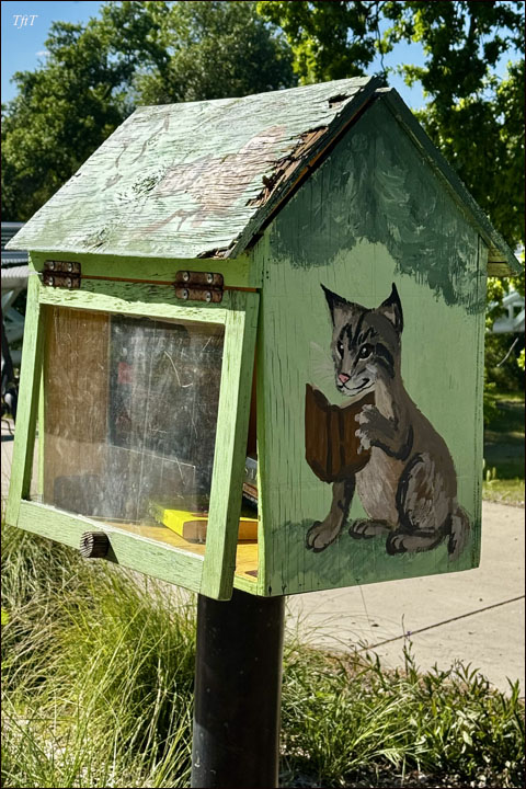 little library murals