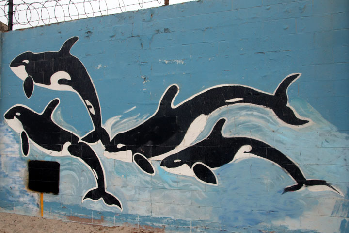 Art at Silver Strand in Oxnard, CA 