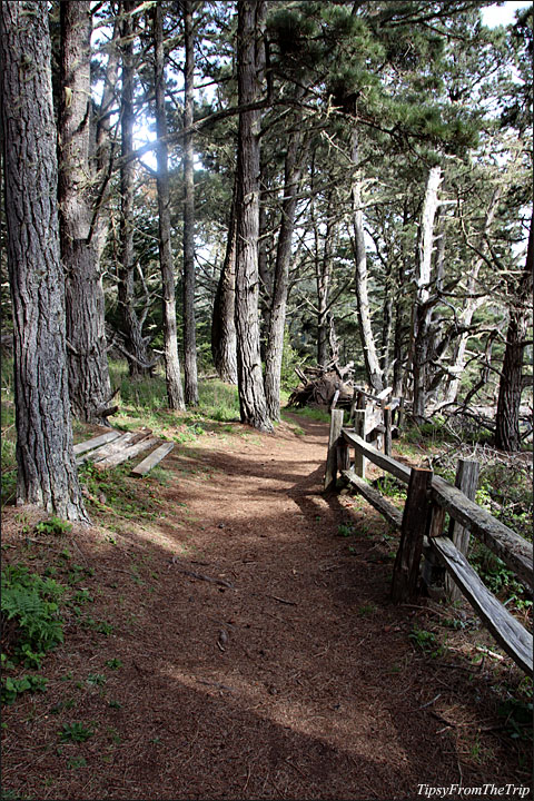Russian Gulch State Park