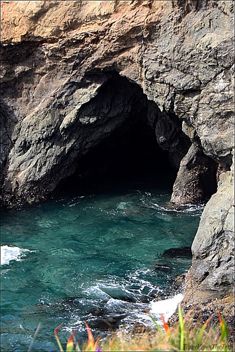 Russian Gulch State Park
