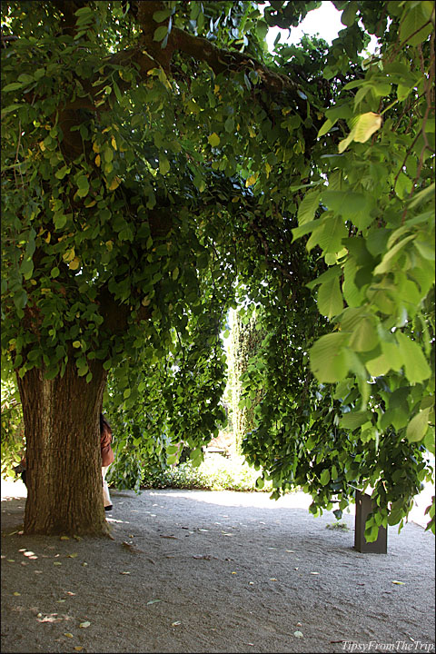 Filoli Garden, SF Bay Area