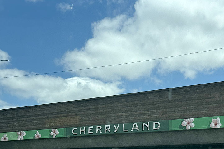 Cherryland Mural